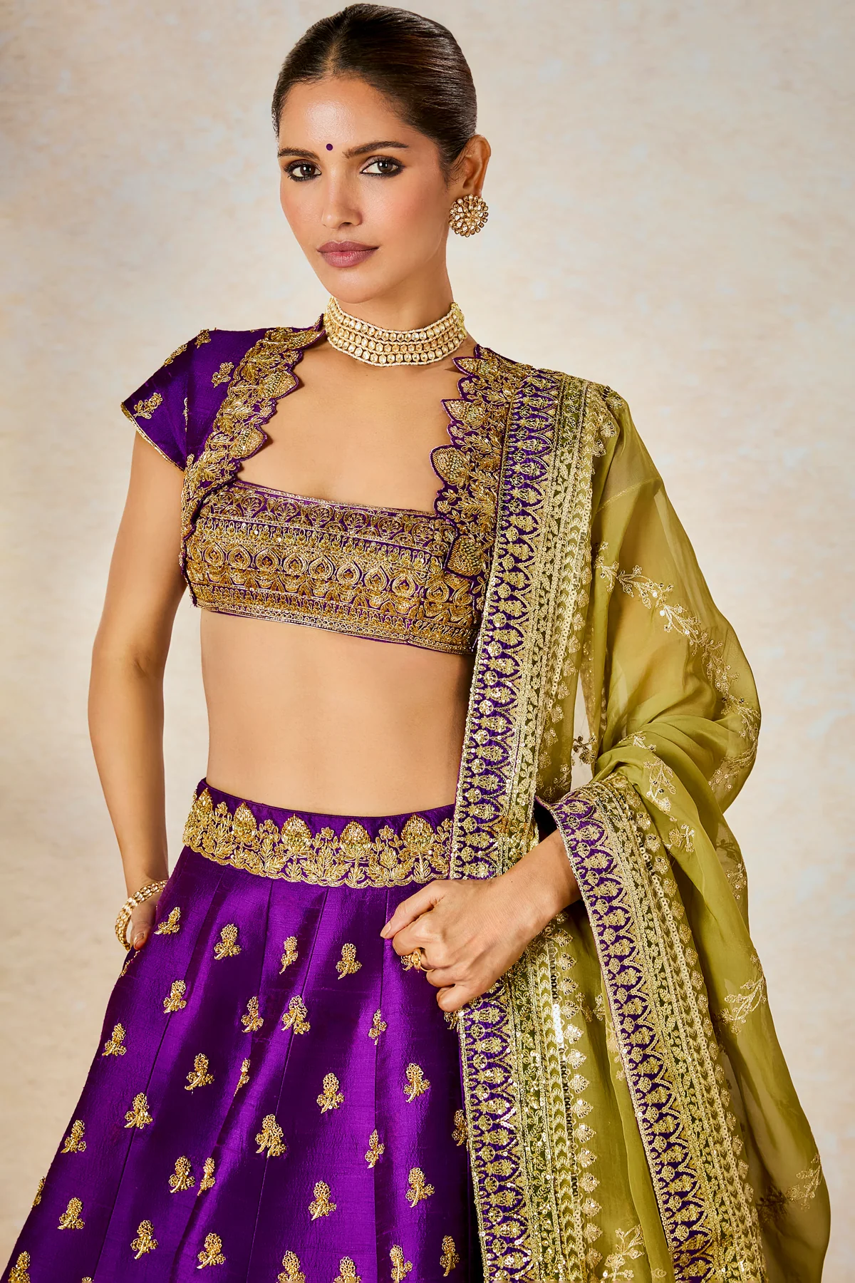 Jamun Fizz Lehenga - Image 4