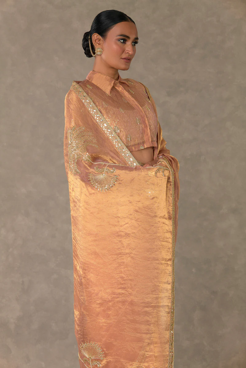 Shahi Tukda Tissue Saree - Image 10