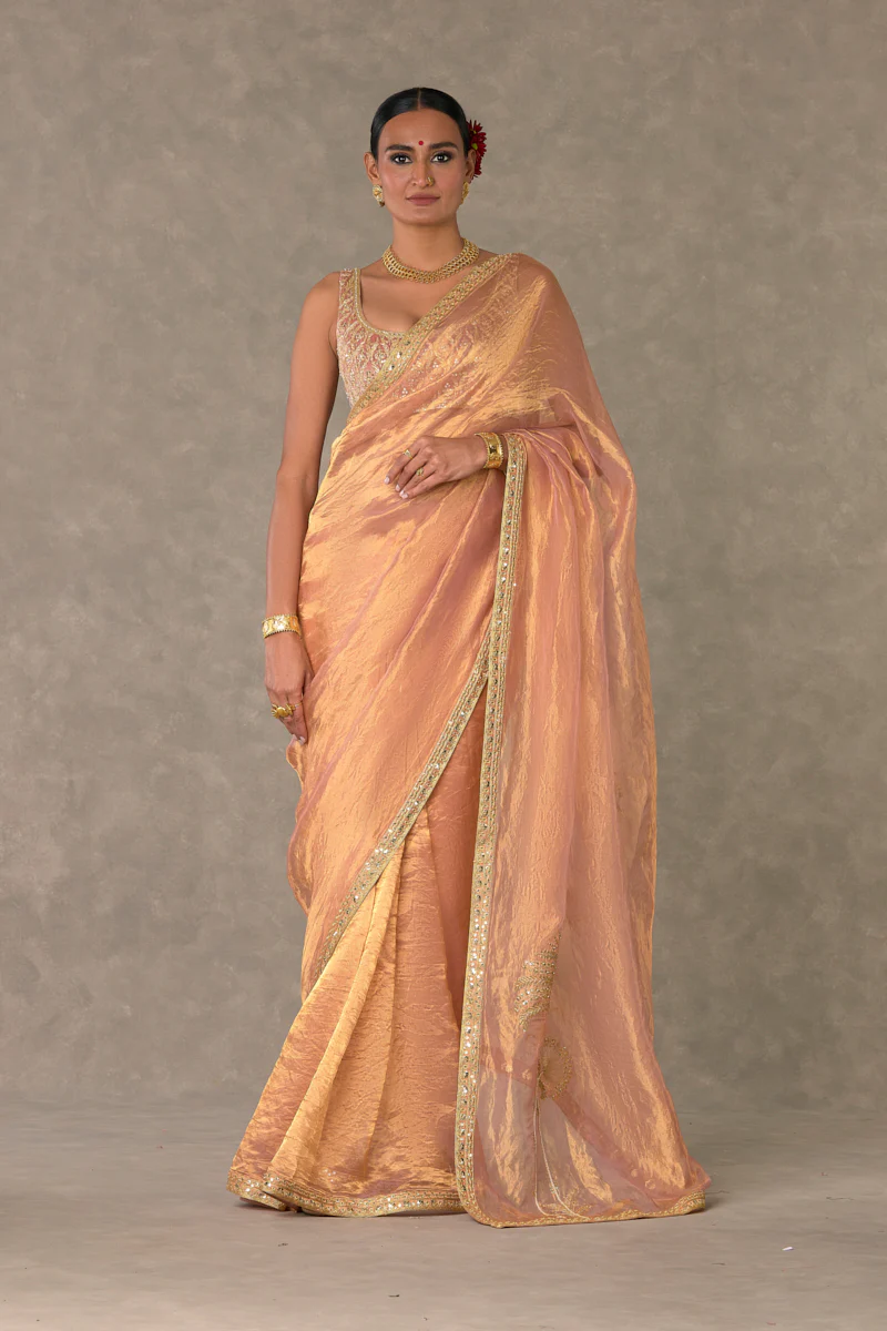 Shahi Tukda Tissue Saree - Image 11
