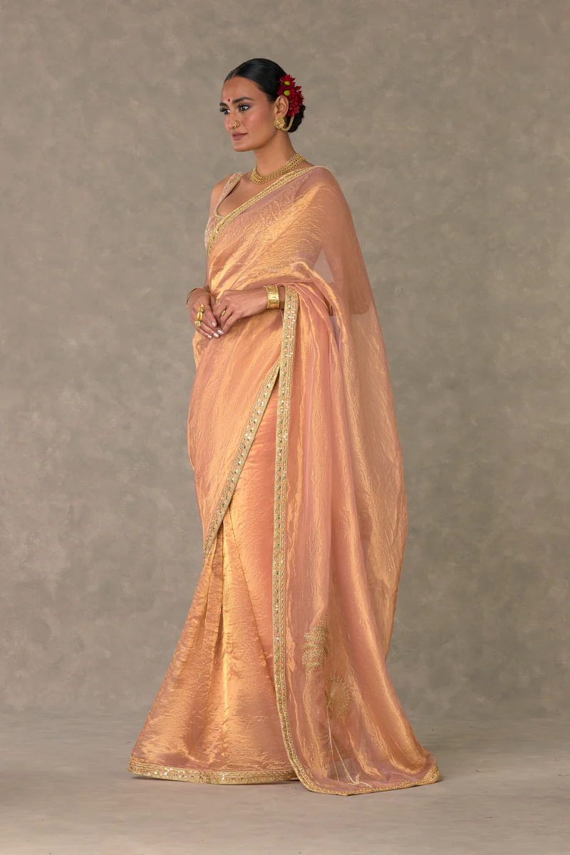 Shahi Tukda Tissue Saree - Image 3