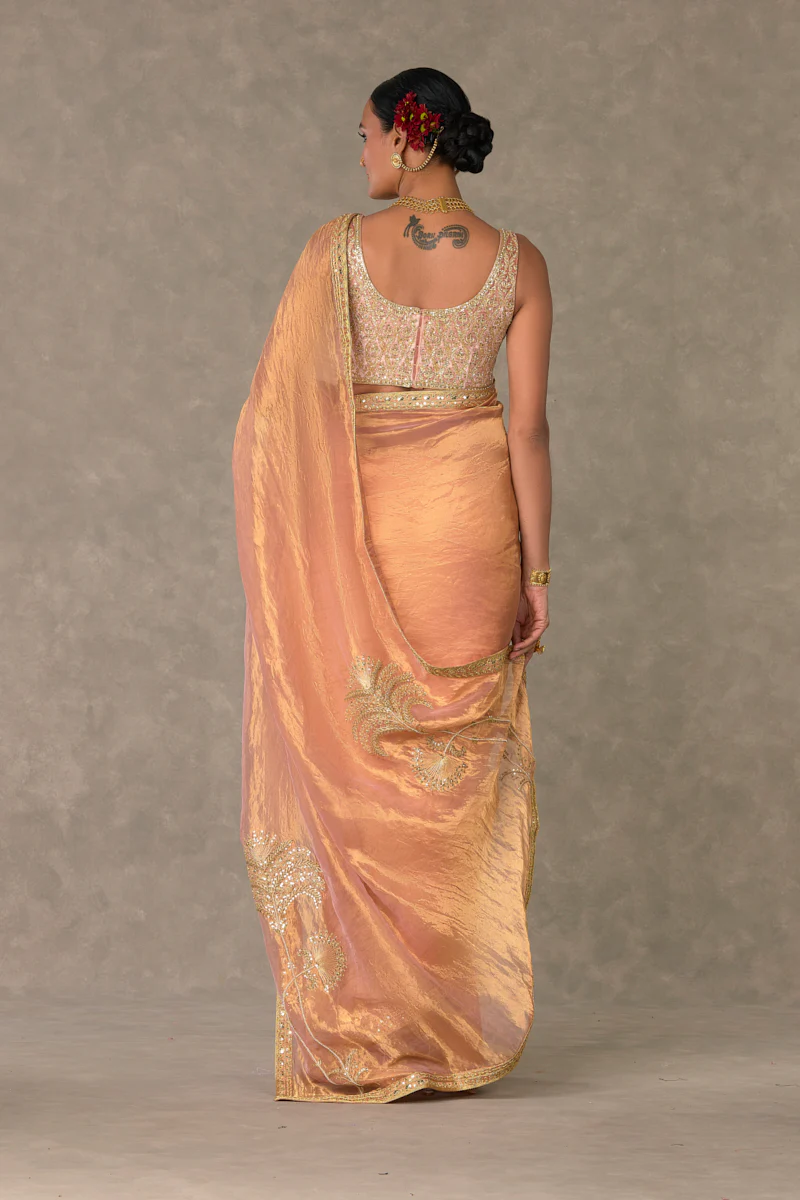 Shahi Tukda Tissue Saree - Image 4