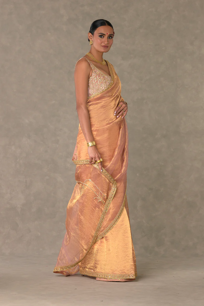 Shahi Tukda Tissue Saree - Image 5