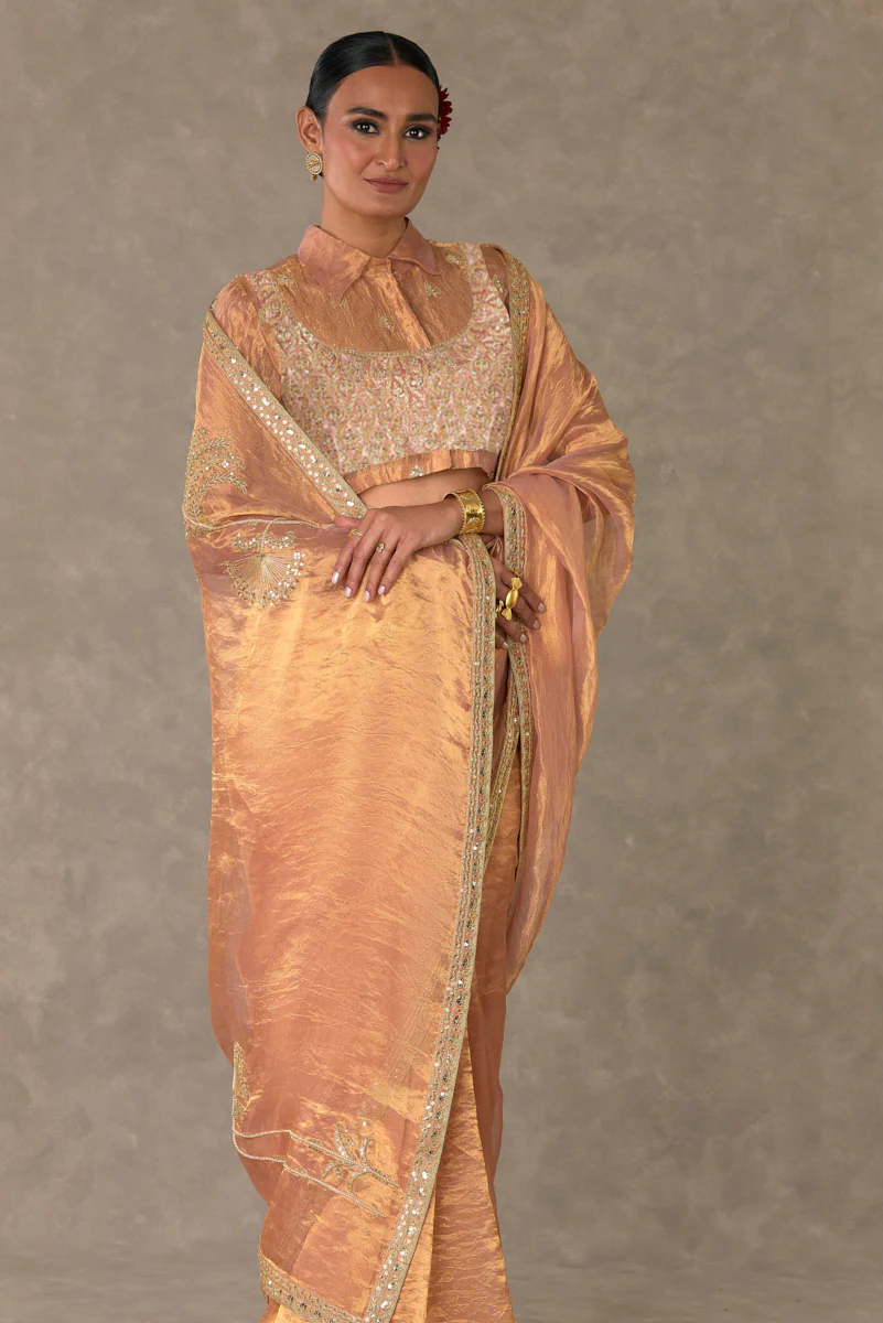 Shahi Tukda Tissue Saree - Image 6