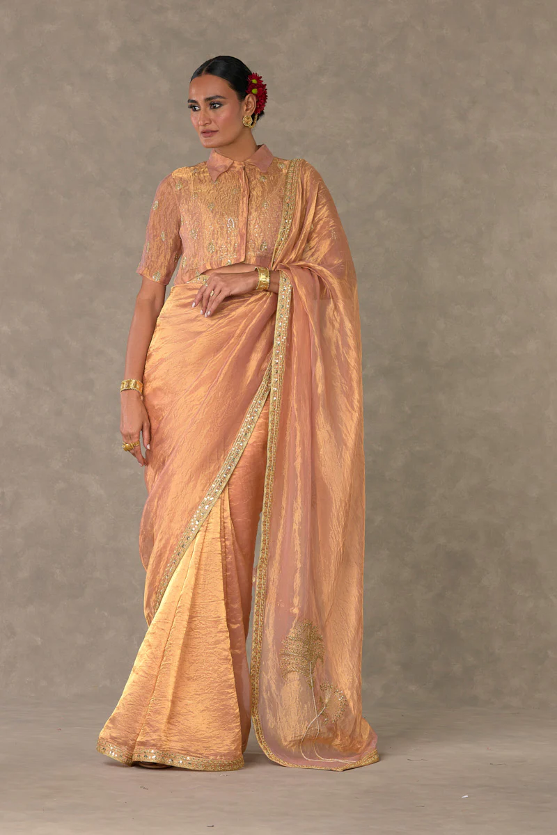 Shahi Tukda Tissue Saree - Image 7