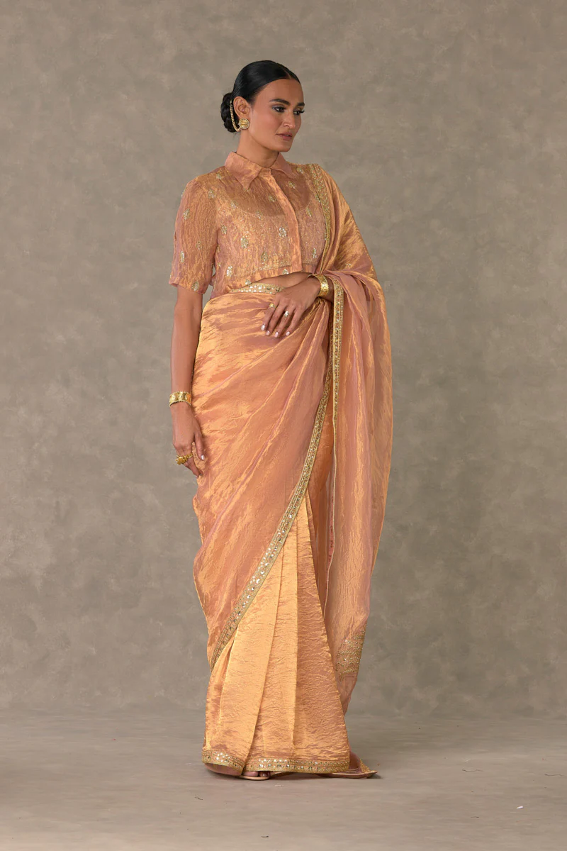 Shahi Tukda Tissue Saree - Image 8