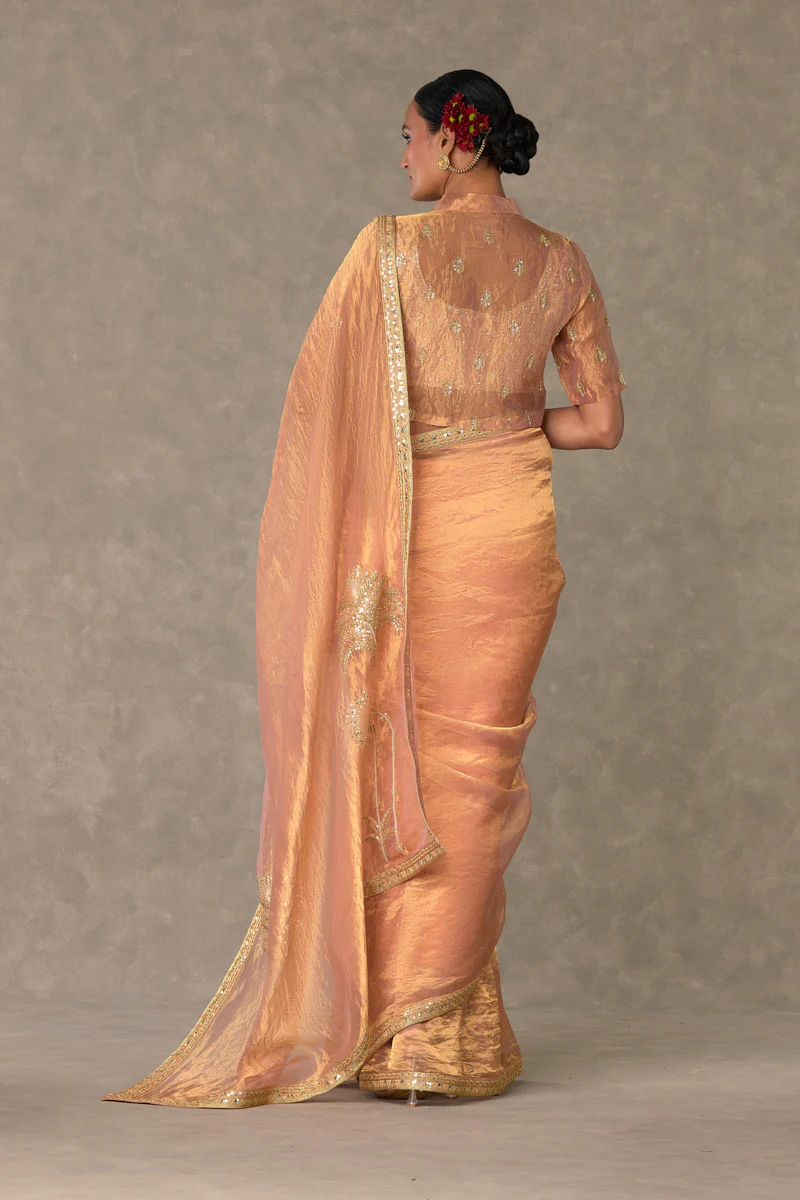 Shahi Tukda Tissue Saree - Image 9