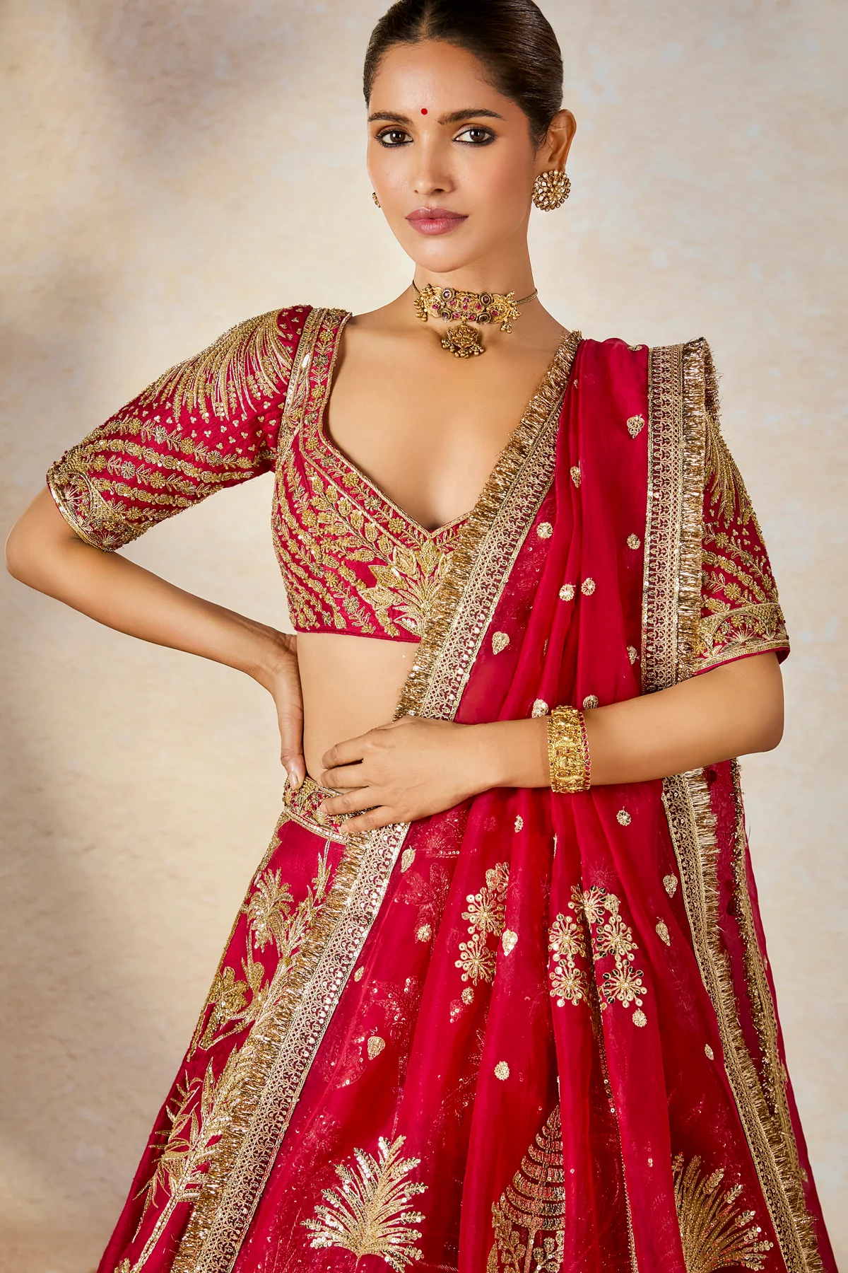 The Aalu Bukhara Lehenga - Image 3