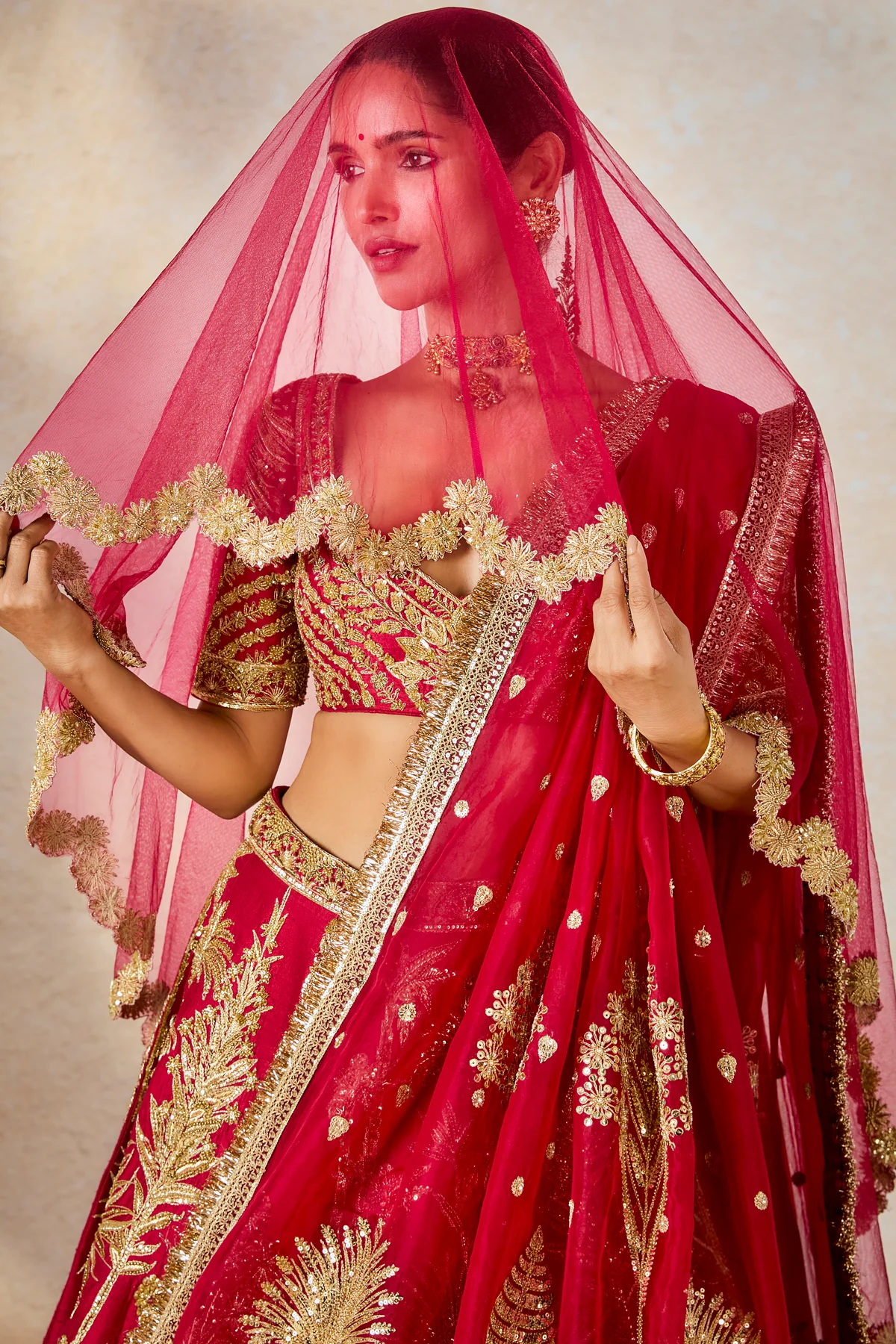 The Aalu Bukhara Lehenga - Image 7