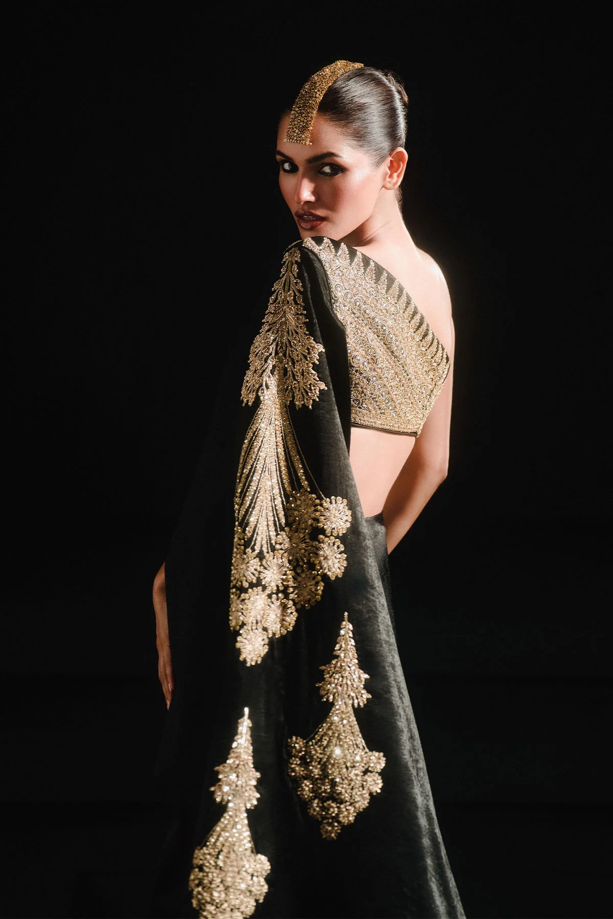 The Kala-Khatta Saree Gown - Image 8
