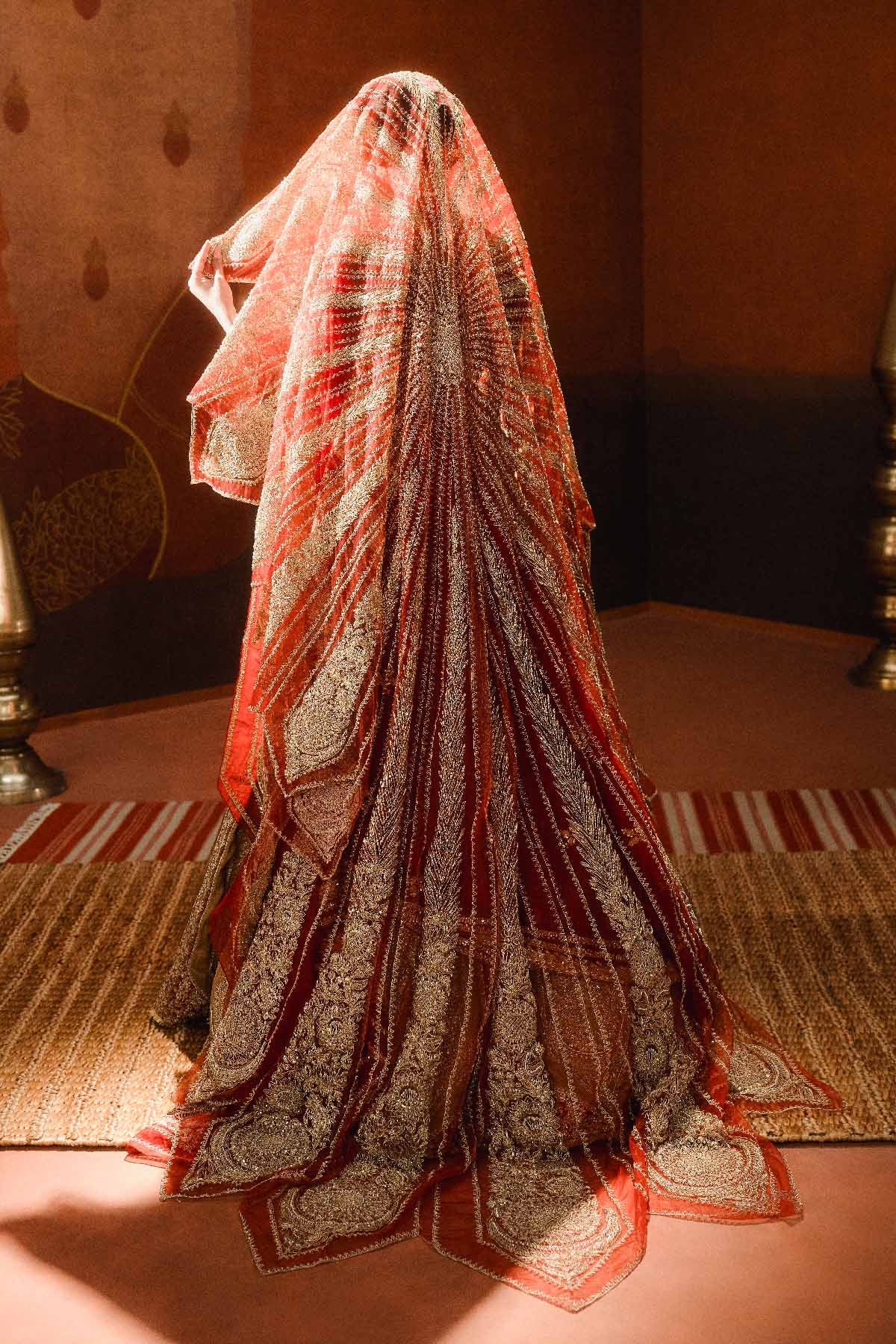 The Khubani Ka Meetha Lehenga - Image 10
