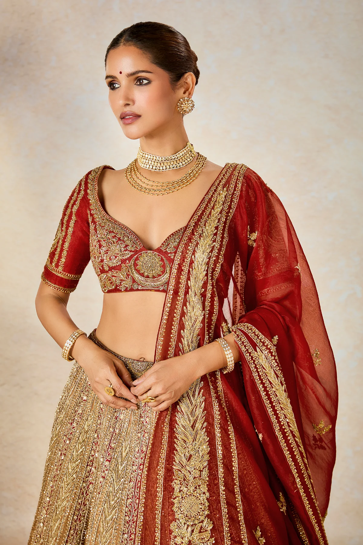 The Khubani Ka Meetha Lehenga - Image 3