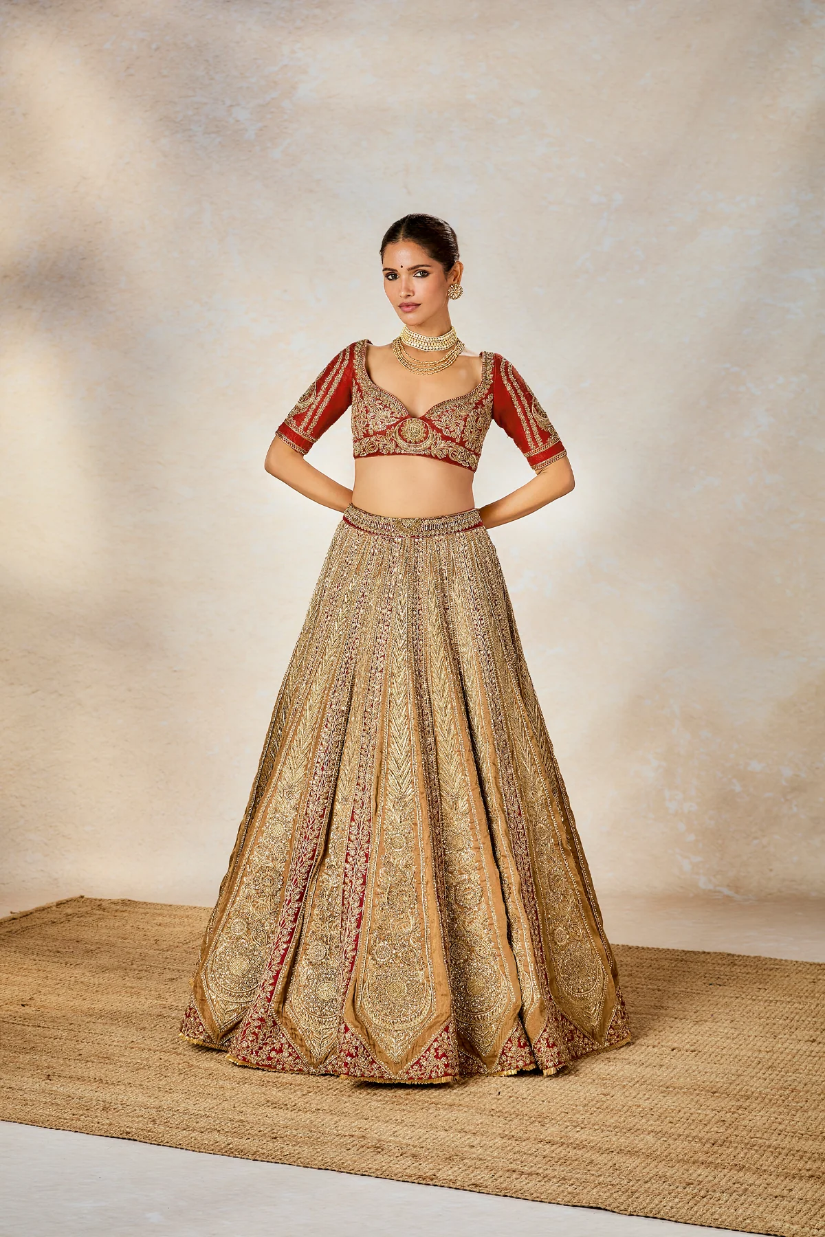 The Khubani Ka Meetha Lehenga - Image 6