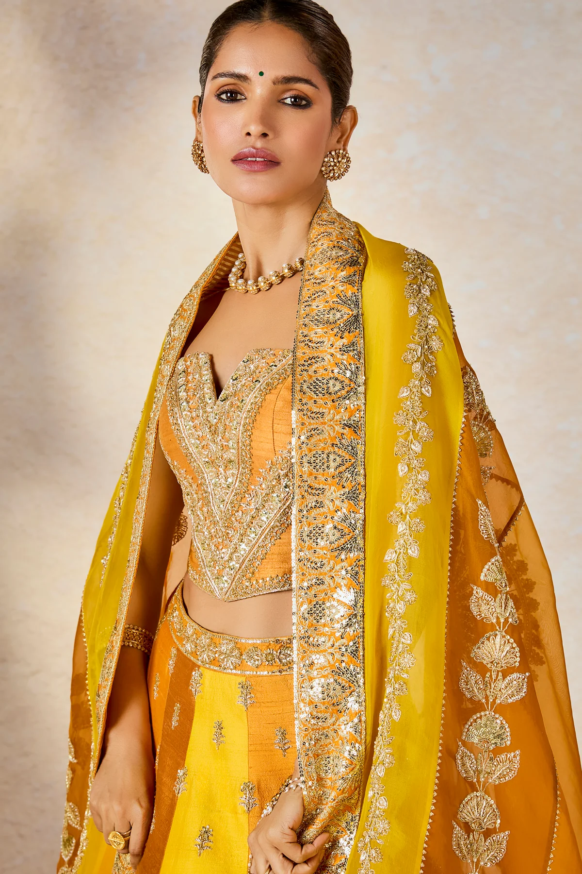 The Son Patissa Lehenga - Image 3